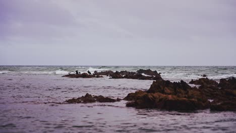 Pájaros-Parados-En-Las-Rocas-En-Cámara-Lenta-En-Un-Día-Nublado