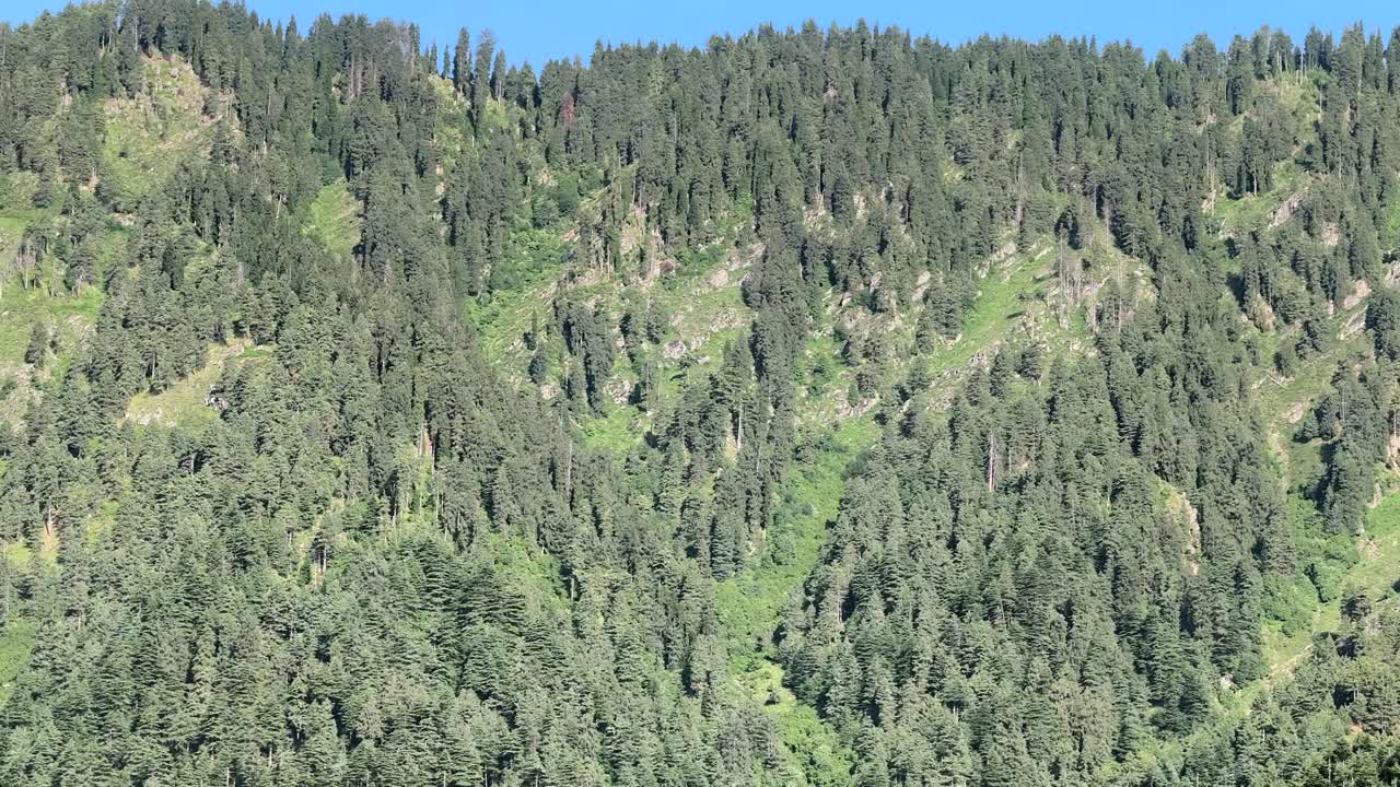 Explore the Untouched Beauty of Rural India and farmers land, Nature beauty, Hills, Green Fields with Village Life in Forest area and Timeless Travel Escapes, sstkTravel