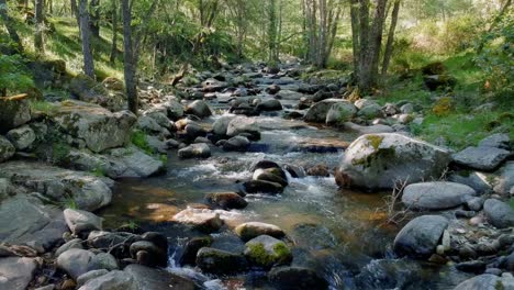 Un-Tiro-Lento-Que-Avanza-Cerca-De-La-Superficie-De-Un-Río-Con-Muchas-Rocas