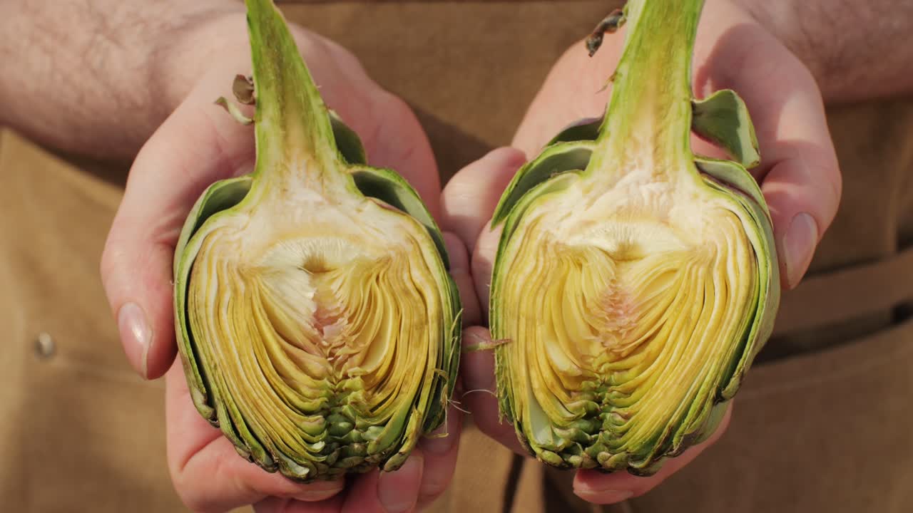 Halved artichokes in hands