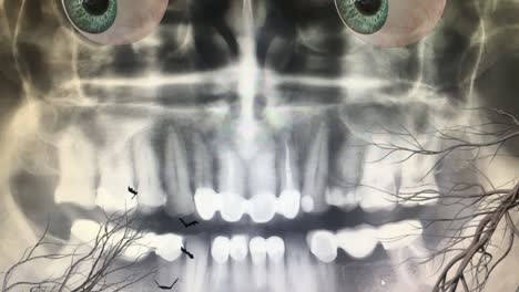 x-ray scull with moving eyeballs
