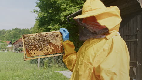 beekeeper in protective gear holding hive frame with honeycomb, side view