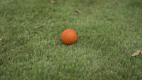 slow motion close up of a orange golf ball on astro turf with leaves flying around