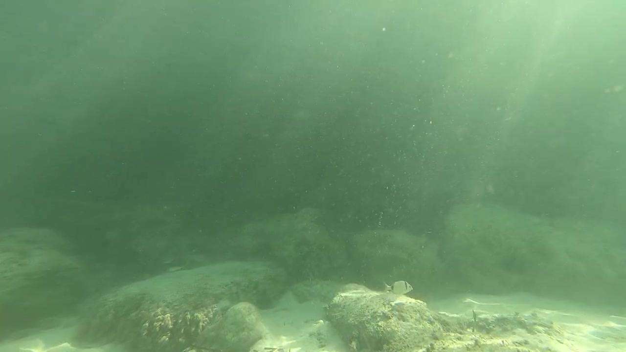under and over water films