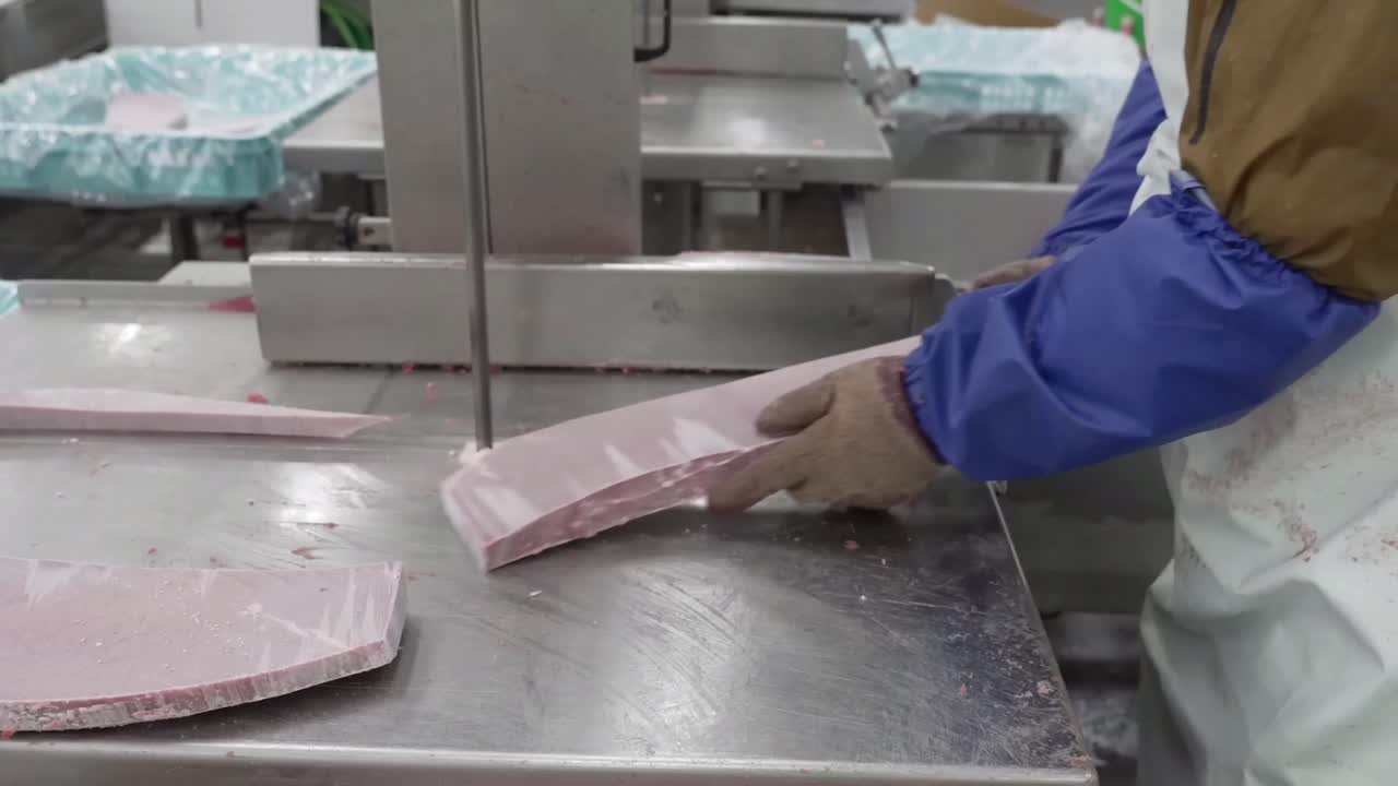 una rappresentazione ravvicinata di un individuo che utilizza un dispositivo meccanico per dissezionare la vita acquatica congelata