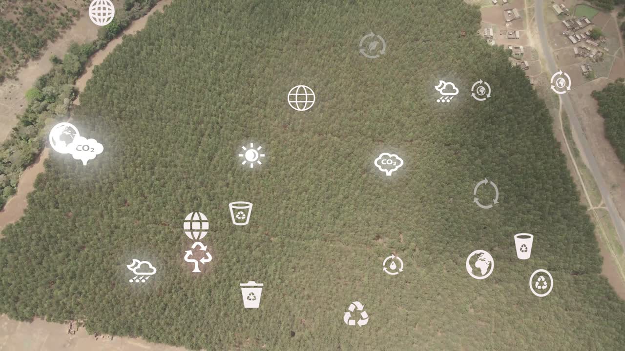 아프리카 키리만자로 산 의 숲 화재 경사 로이토토크 케냐