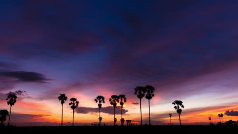 multi coloured sunset over rice paddy and palm trees in the asian planes