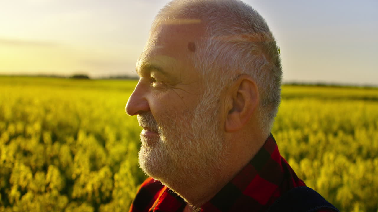 Agricoltore maturo che sorride in un campo di colza dorato al tramonto.