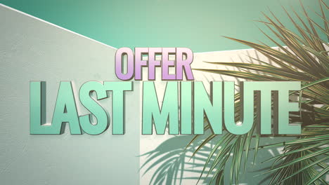 last minute offer with tropical palm in room for resort