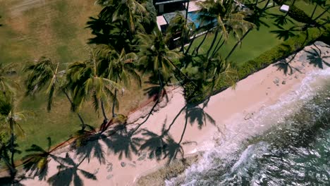 Seagulls-fly-over-Cromwells-beach-in-Kahala,-Oahu,-Hawaii