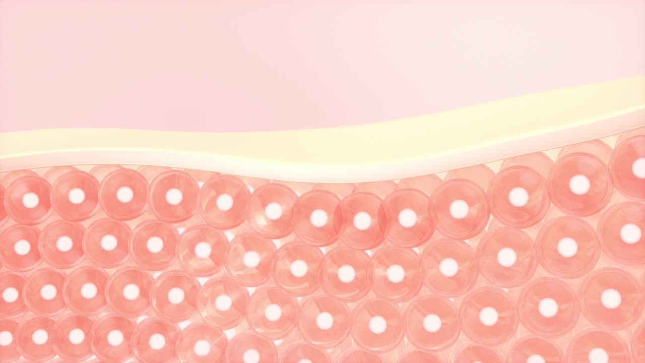 피부, 3d 렌더링 세포