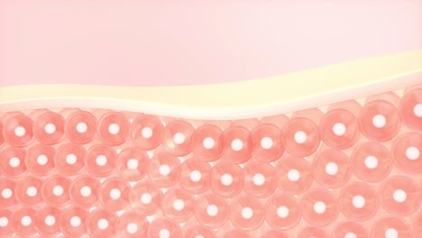 피부, 3d 렌더링 세포