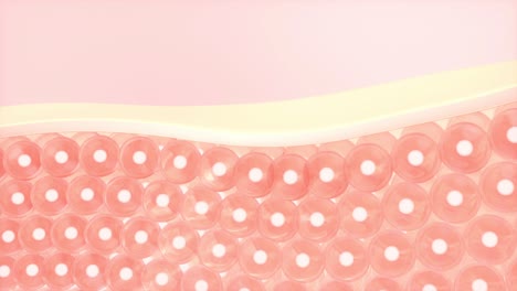 cells and skin, 3d rendering.