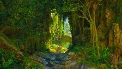 a lush, sunlit path through a dense forest