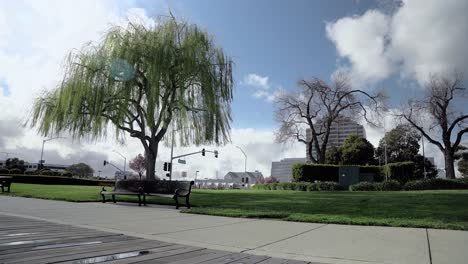 beautiful sunny cloudy day in the park