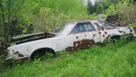 ford thunderbird de la década de 1970 sentado abandonado en los árboles oxidándose lejos de los elementos