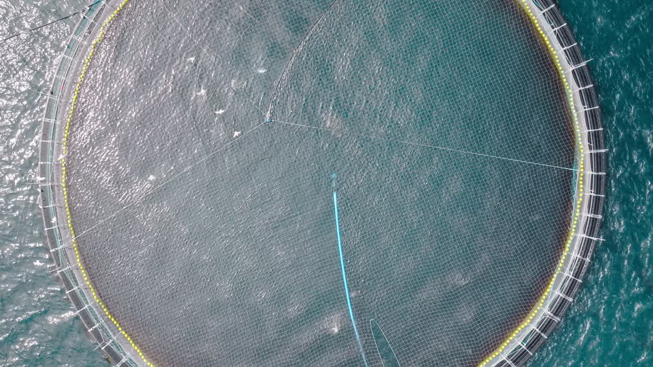 Una rete di allevamento ittico nelle Isole Fær Øer, circondata da acque calme, veduta aerea.