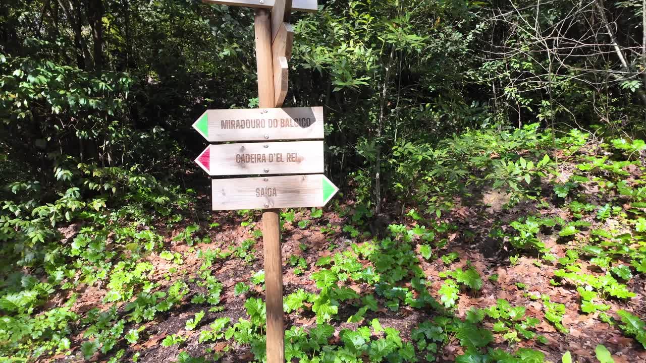 Path in Tomar, Portugal with signposts and lush greenery, tranquil vibe
