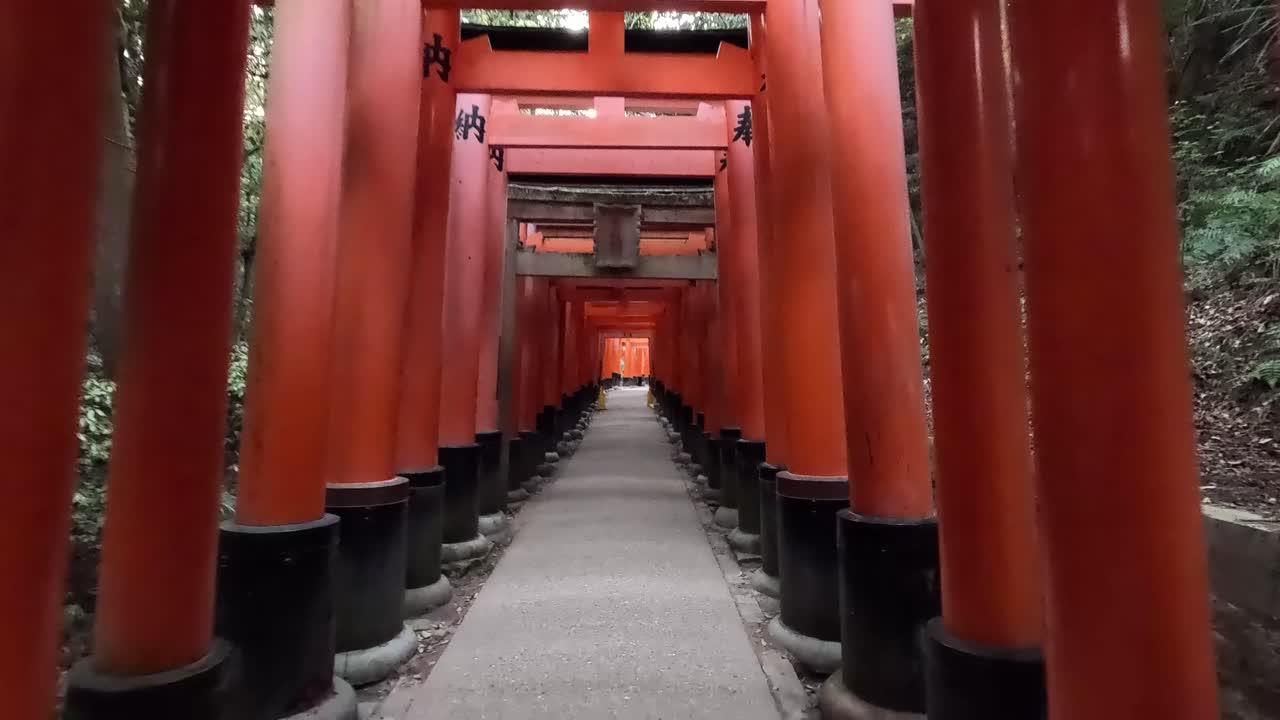 Spaziergang durch den Torii-Pfad am Fushimi Inari-Taisha Schrein in Fushimi-ku, Kyoto, Japan