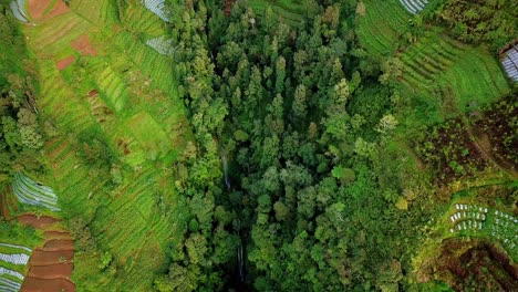 aerial top view of plantation fields, forest and spectacular waterfall on slope of mountain at sunlight