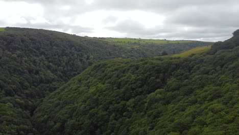 aerial drone over tree covered valley with dark clouds