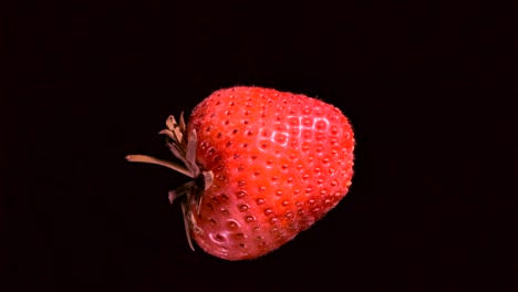 levitating red strawberry. rotating ripe strawberry flying in the air isolated on black background. closeup, camera rotation 360 degrees.