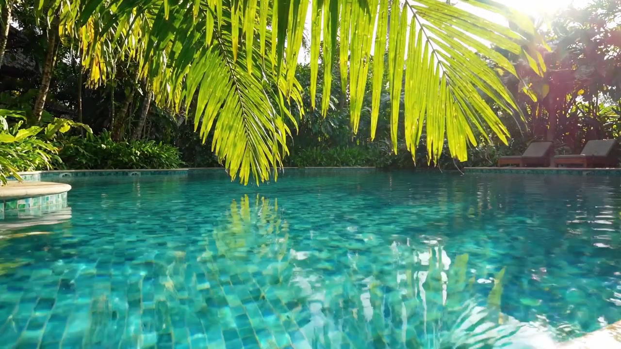 Ruhige Pool-Oase, umgeben von üppigem Grün und glitzernden Wasserspiegelungen unter strahlendem Sonnenschein.
