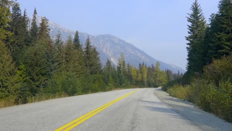 scenic drive through mountain road with lush pine trees on summer day
