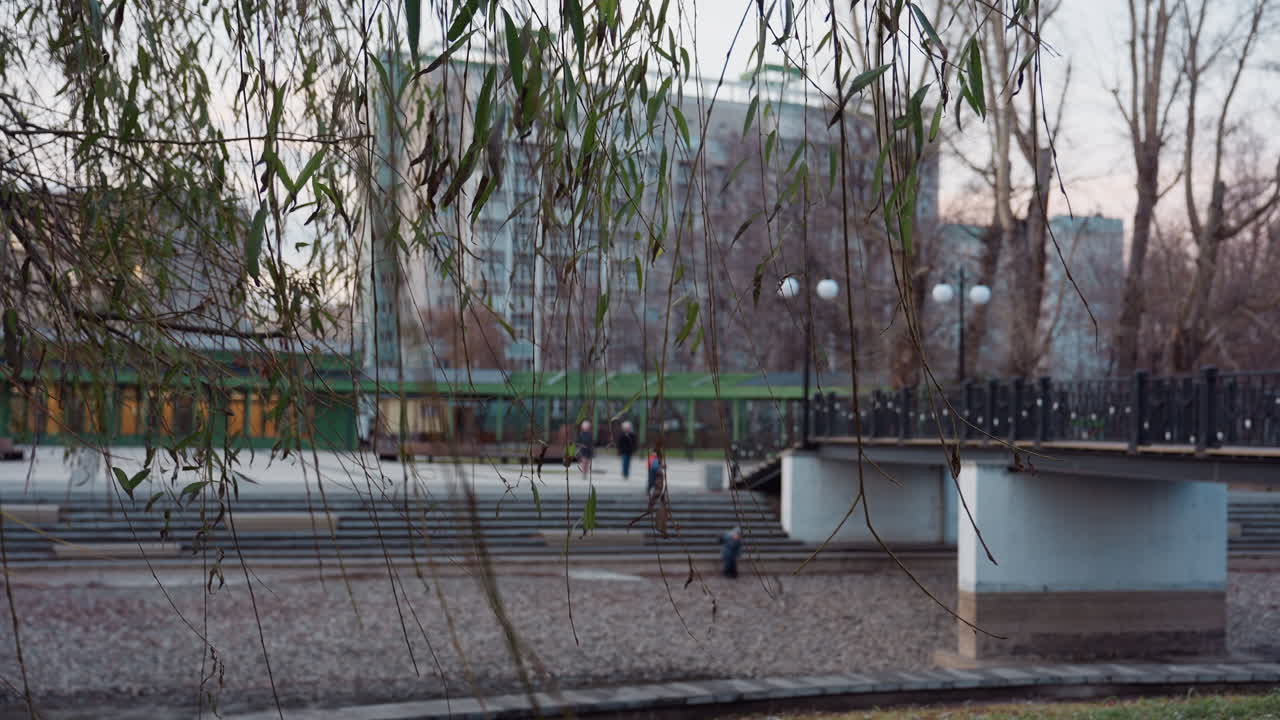 Leafy winter tree branches hang in foreground above stone path as people walk around pedestrian bridge in urban park, buildings visible in soft evening background with calm, natural ambiance