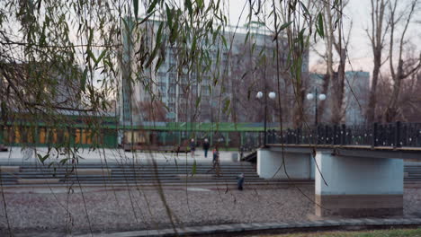 leafy winter tree branches hang in foreground above stone path as people walk around pedestrian bridge in urban park, buildings visible in soft evening background with calm, natural ambiance