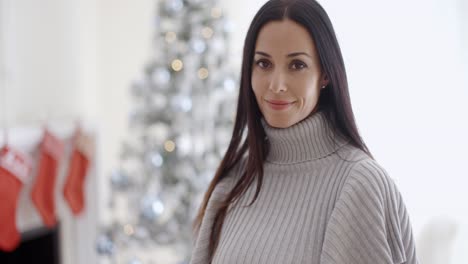 gorgeous fashionable young woman at christmas