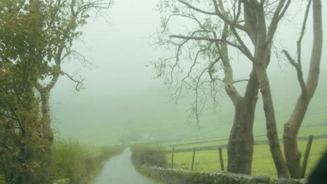 driving through the english countryside blanketed in fog