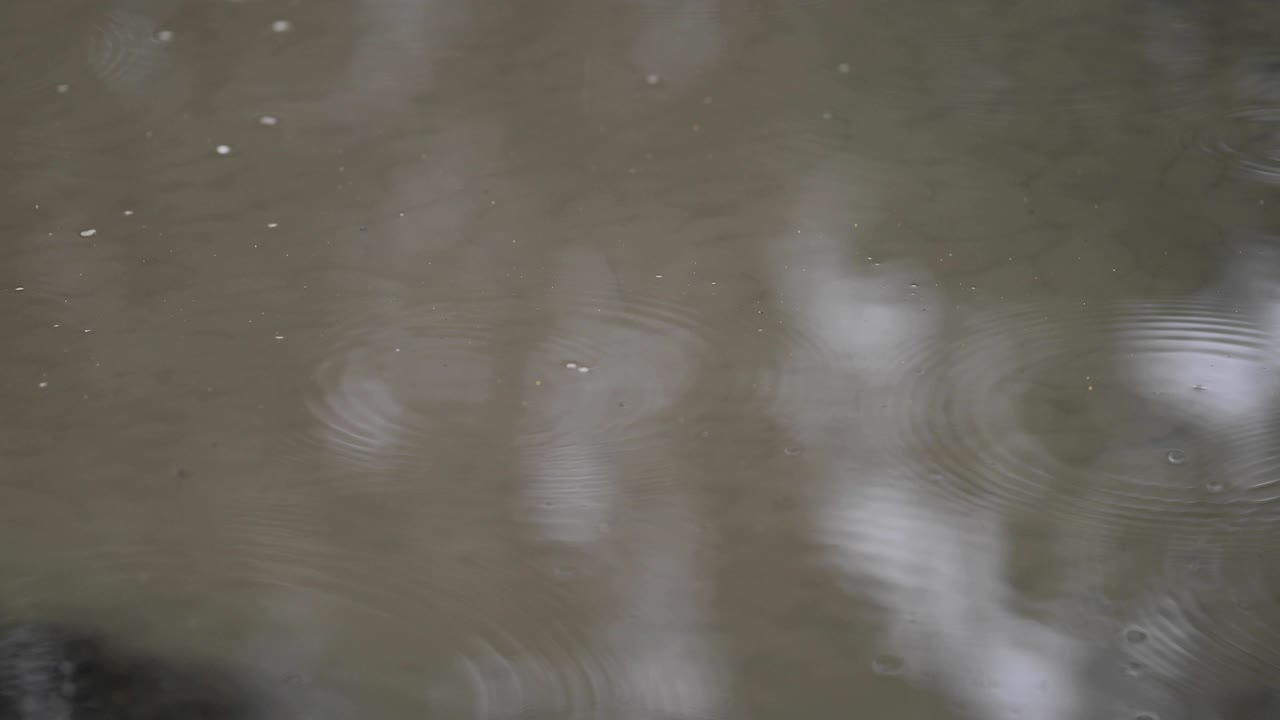 gotas de lluvia en un charco de primer plano