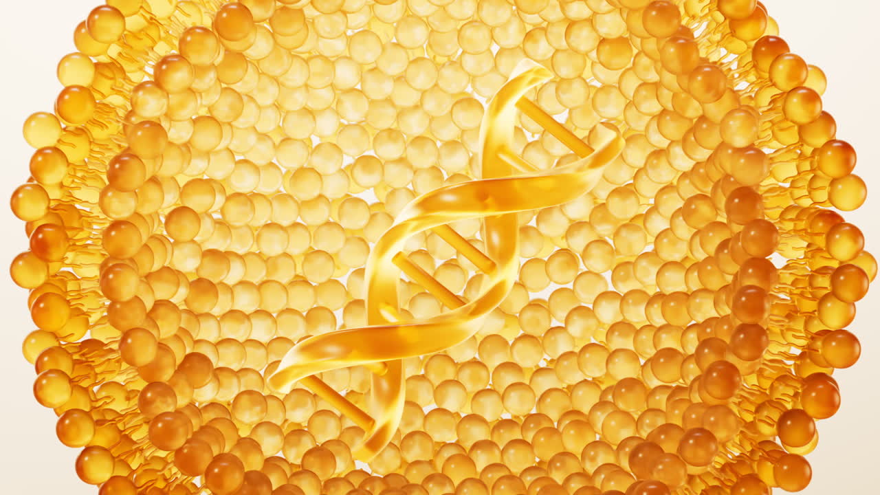 DNA e struttura di membrana a doppio strato trasparente e dorata, rendering 3D