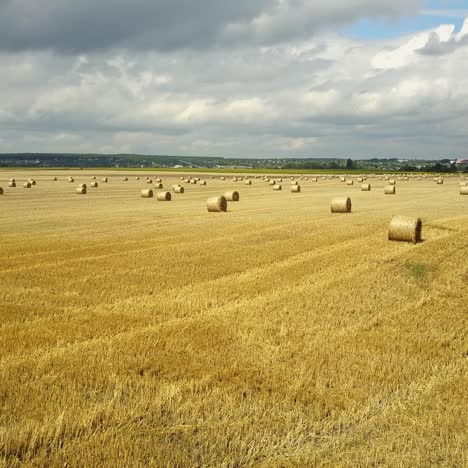hay bales in a golden wheat field