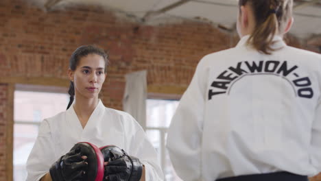 young woman doing martial arts