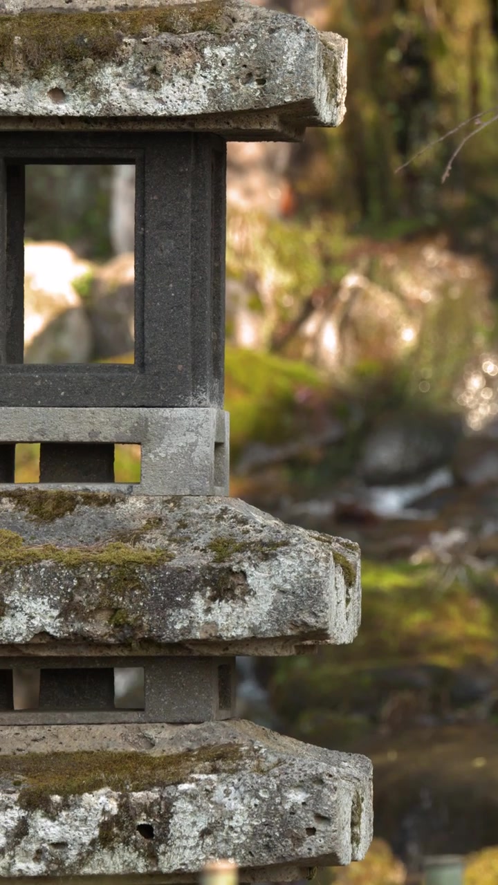 Una lanterna di pietra si erge davanti a una cascata in un lussureggiante e muschioso giardino giapponese.