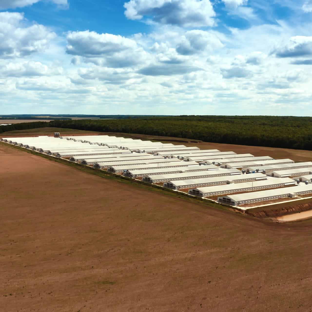 Modern farm among field. Industrial complex of white buildings on the nature background. Innovative factory in the farmland.