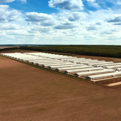 modern farm among field. industrial complex of white buildings on the nature background. innovative factory in the farmland.