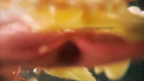la pasta de farfalle coloreada cayendo en el agua en cámara lenta.