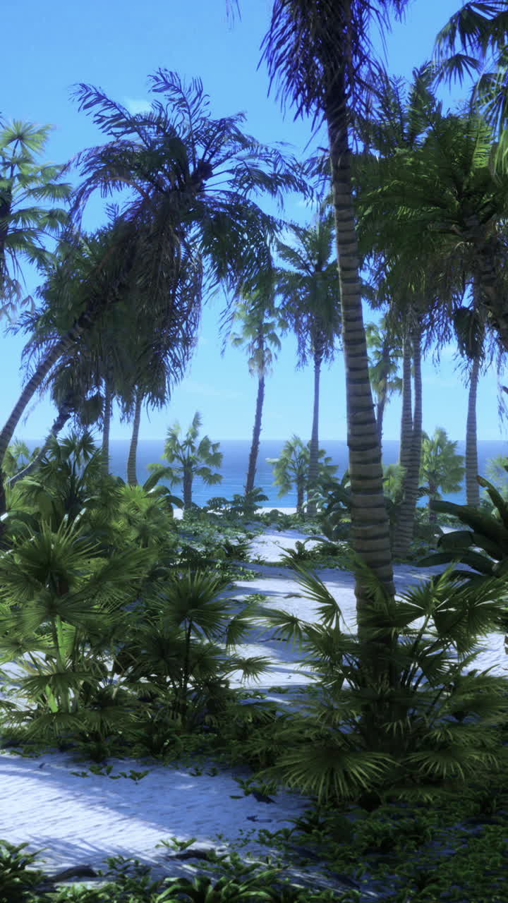 야자수와 열 대 해변