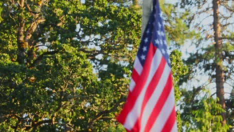 american flag - national flag of united states of america blowing in the wind on a windy day