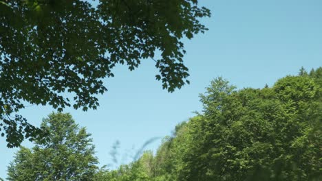 Relaxing-windy-spring-day-with-moving-green-trees-and-blue-sky-4K