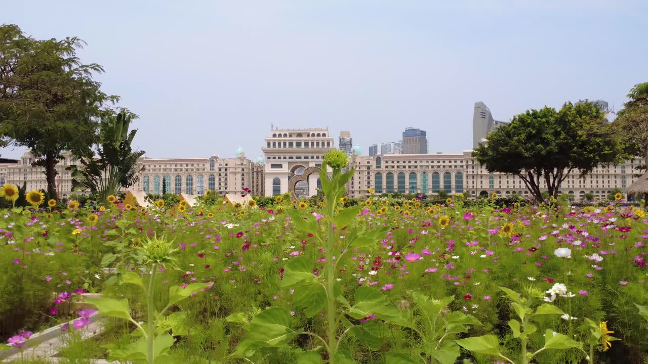 Tropical urban luxury buildings, wildflower meadow, nature greenery