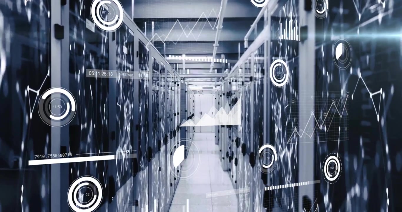 Animation of data processing over computer servers