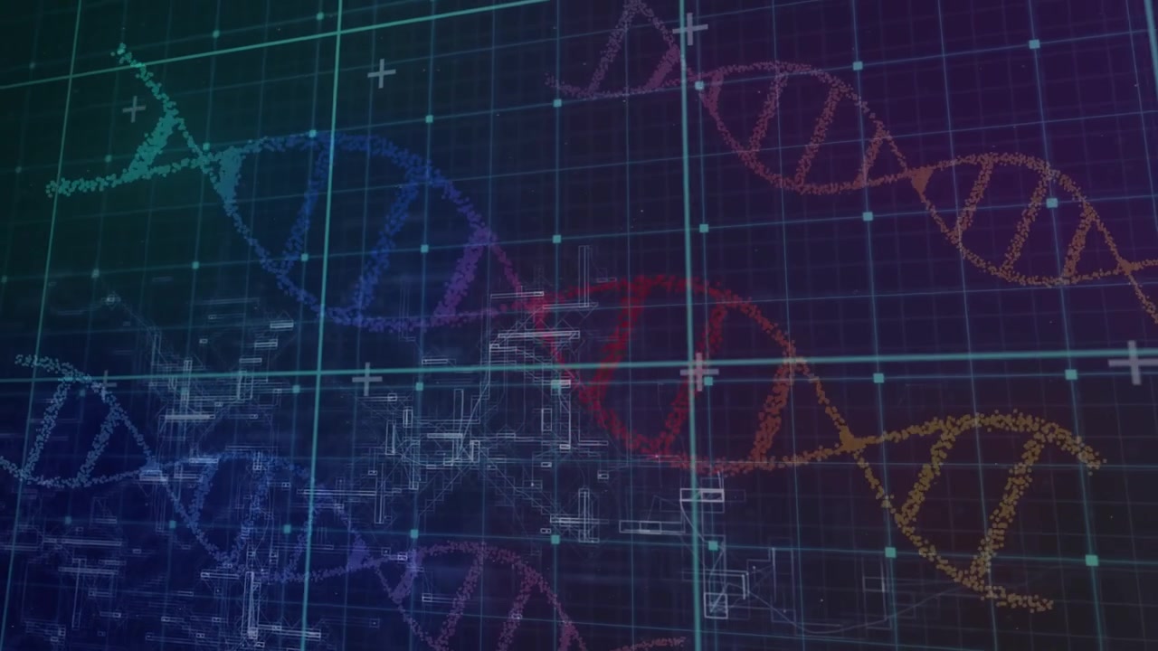 Animation of green line and data processing over grid