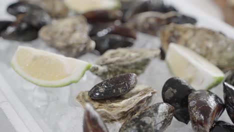 Slow-zoom-in-on-fresh-mussels-and-oysters-laid-out-on-ice