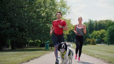 Running-with-the-best-friend,-Katowice,-Poland