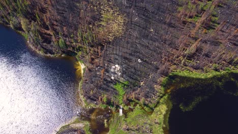 Folgen:-Quebecs-Größter-Waldbrand-In-Lebel-sur-Quévillon-Von-Drohne-Erfasst