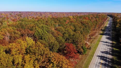 an aerial view of fall foliage in michigan